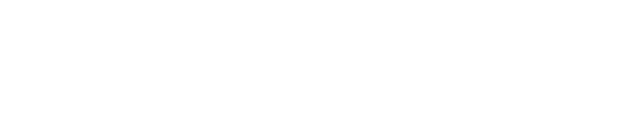 trek bikes